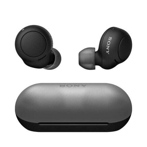 Sony WF-C500 Earbuds